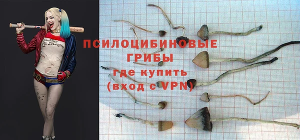 СК Козловка
