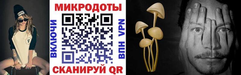Галлюциногенные грибы ЛСД Суровикино