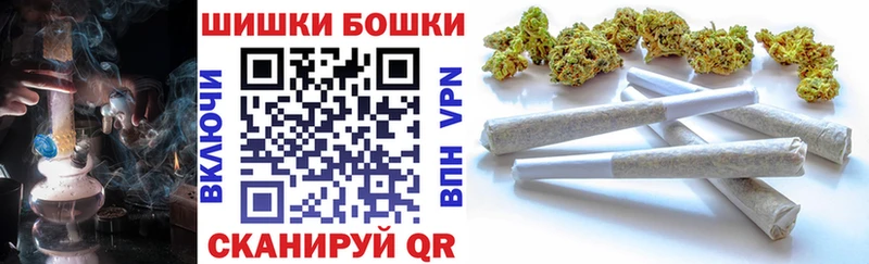 где купить Суровикино Шишки марихуана Bruce Banner